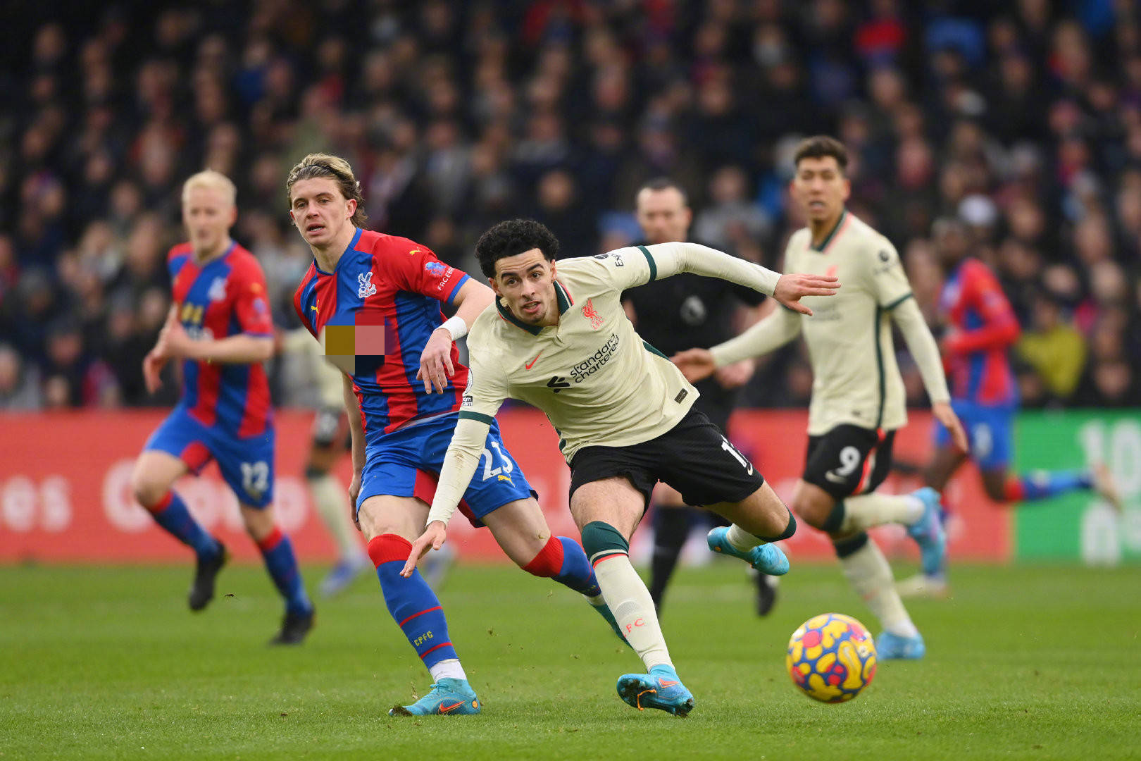 观其表现 观其表现